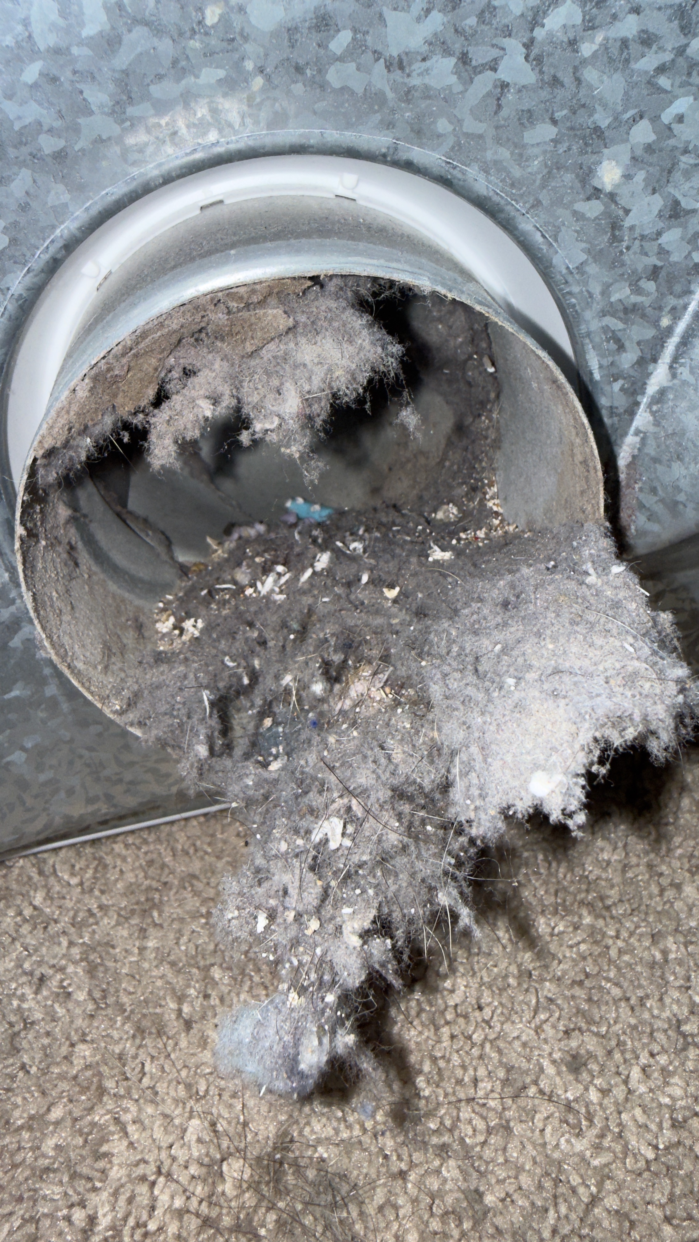 Dryer exhaust port with heavy lint buildup before cleaning in Woodbridge VA