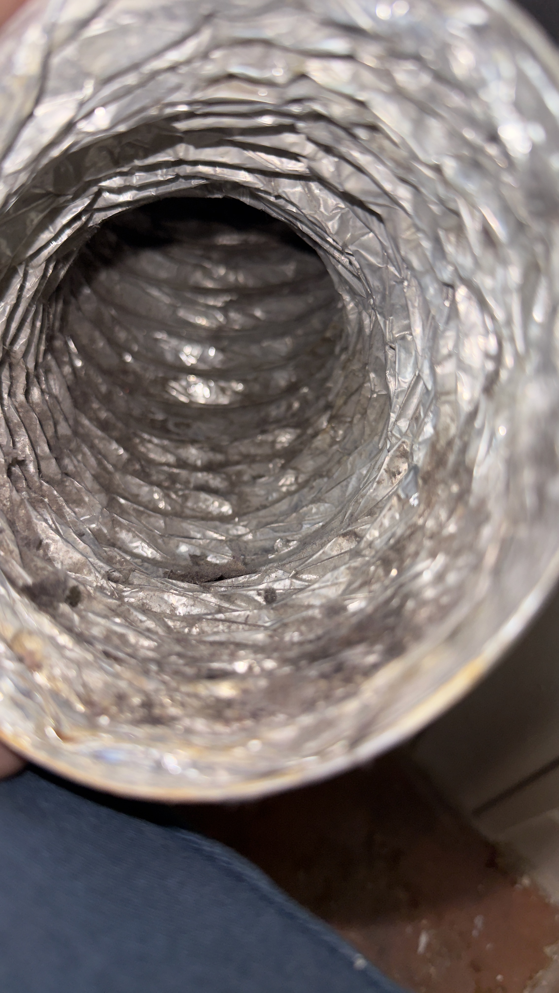 Dryer flex transition duct cleaned after service in Woodbridge VA