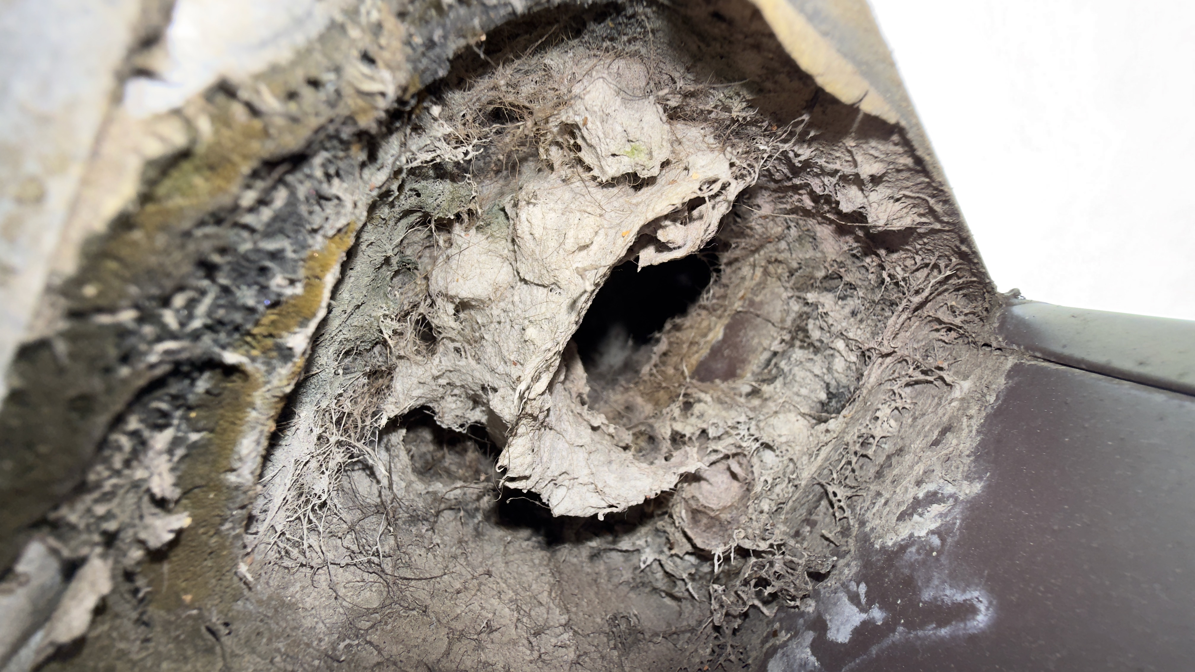 Roof dryer vent cap clogged with lint before cleaning in Woodbridge VA