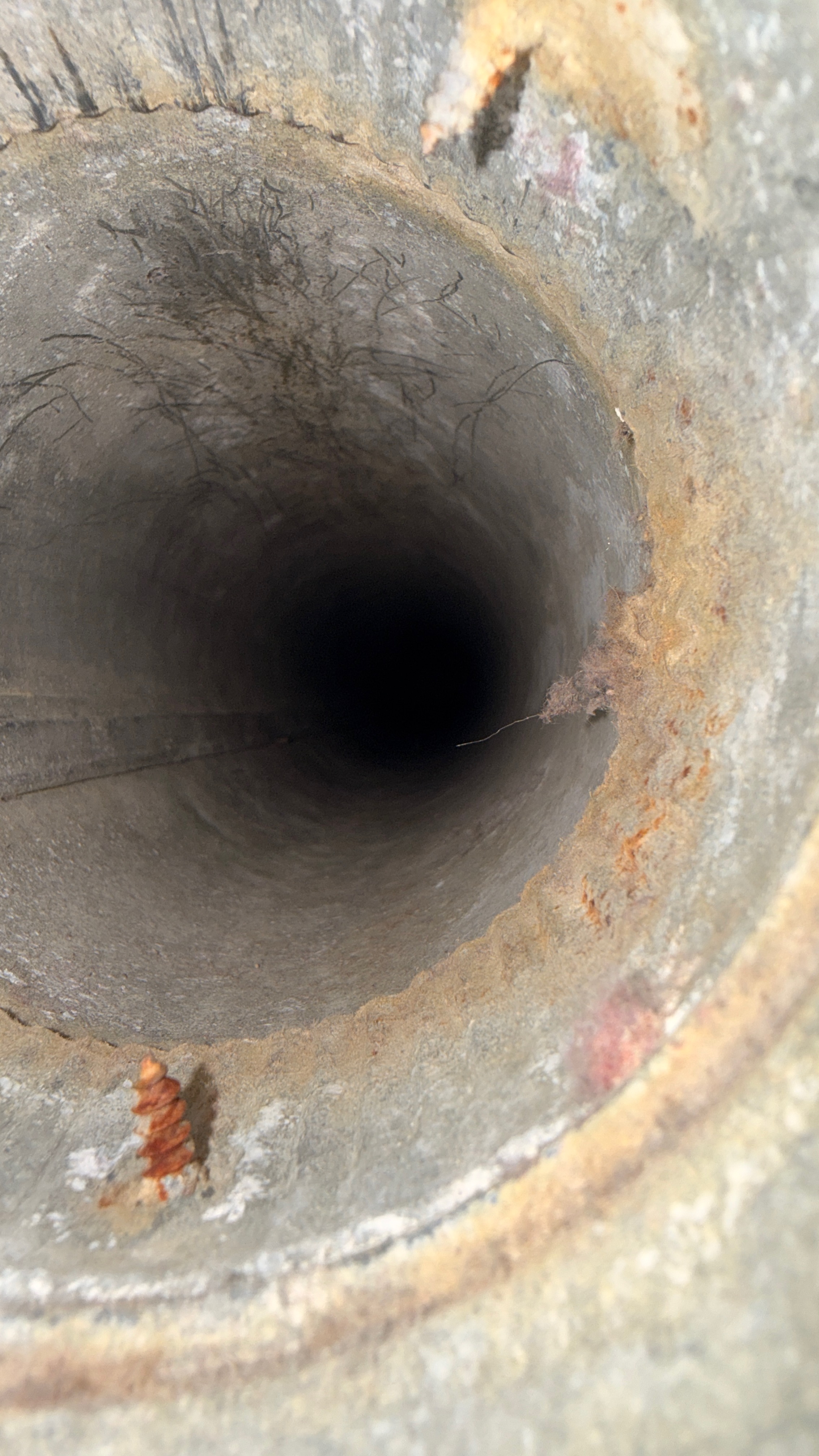 Roof vent cleaned after dryer vent service in Woodbridge VA