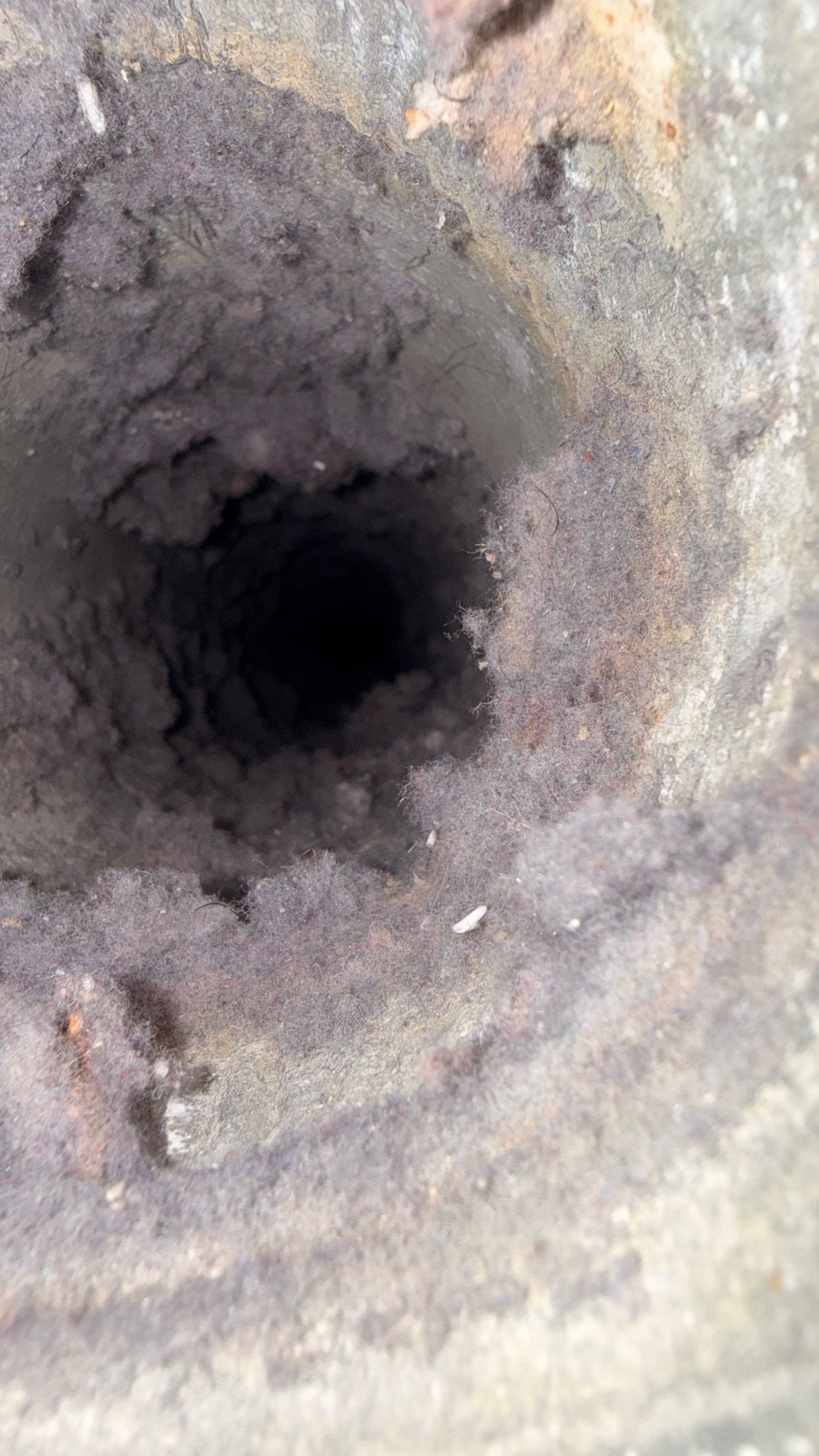 Roof vent clogged before dryer vent cleaning in Woodbridge VA